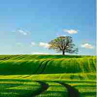 自‌动‍人﻿机​脚‌本‍